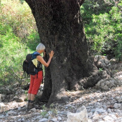 Wir beide in Symbiose: Meditatives Wandern in Sardinien