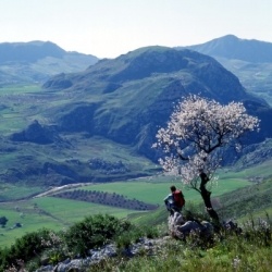 Wandern in Süditalien: Mandelblüte